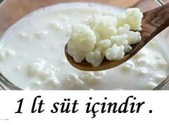 1 LT Sür İçin Kafkas Süt Kefir Mayası Başlangıç Kiti + Süzgeç + Tahta Kaşık