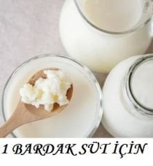 1 LT Sür İçin Kafkas Süt Kefir Mayası Başlangıç Kiti + Süzgeç + Tahta Kaşık